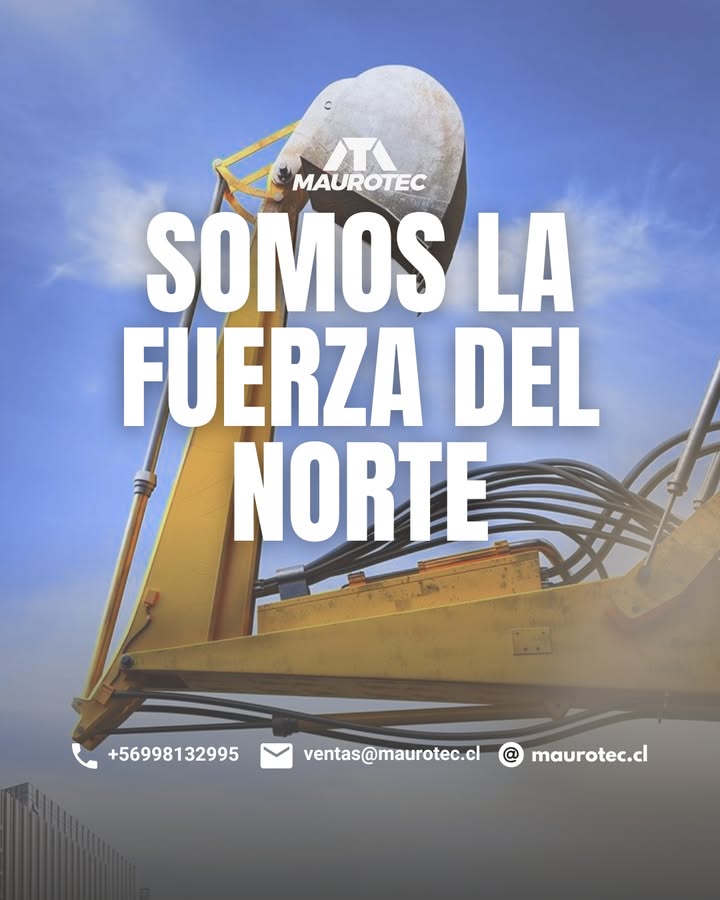 Dicen que el norte forja carácter… y no están equivocados.